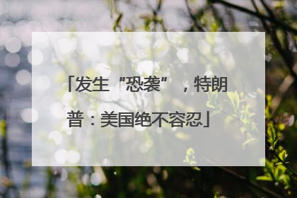发生“恐袭”，特朗普：美国绝不容忍